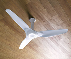 Ceiling fans